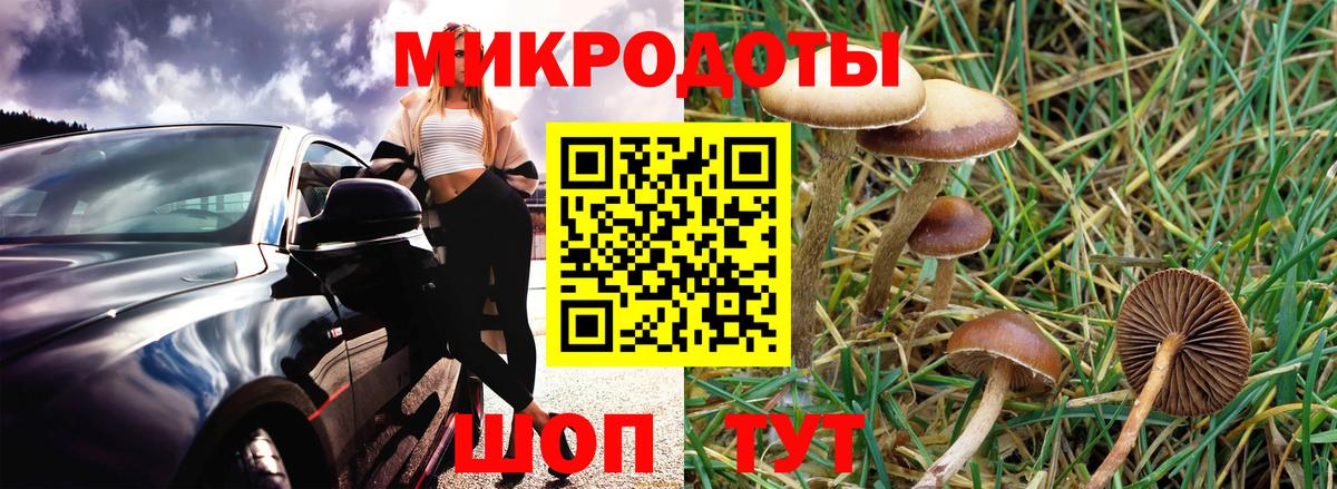 Татарск  Псилоцибиновые грибы мухоморы  даркнет сайт  Вход с VPN 